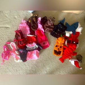 Bundle of XS dog clothes